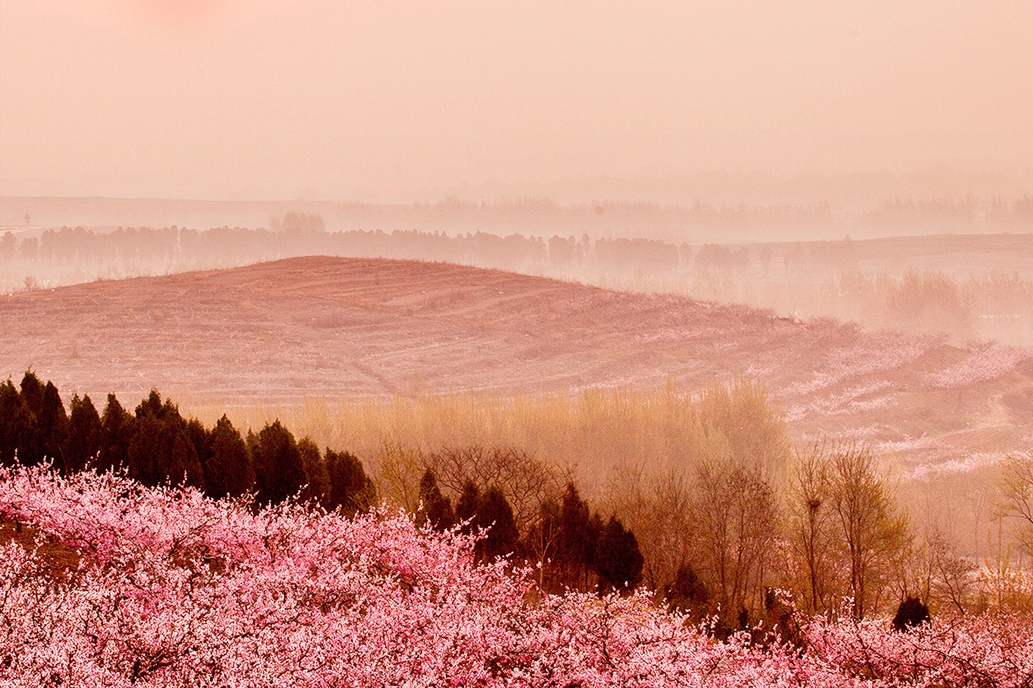 918������(�й���)�콢��