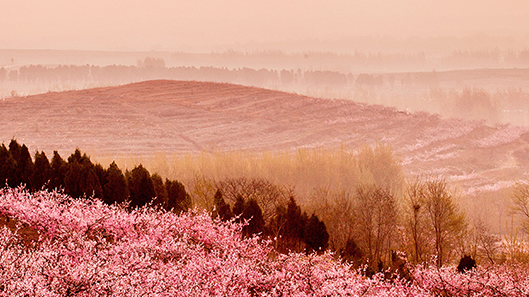 918������(�й���)�콢��